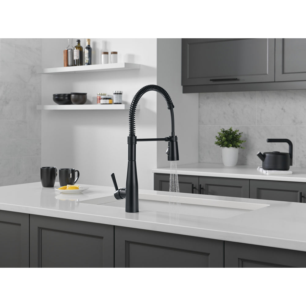 Delta Essa Single-Handle Pull-Down Spring Kitchen Faucet - 9613