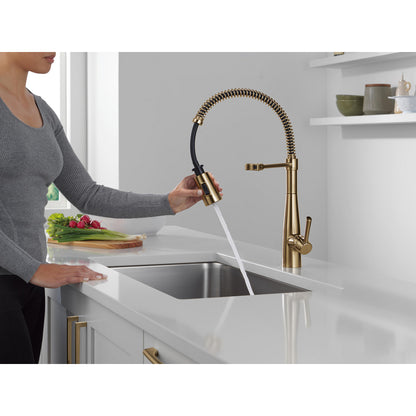 Delta Essa Single-Handle Pull-Down Spring Kitchen Faucet - 9613