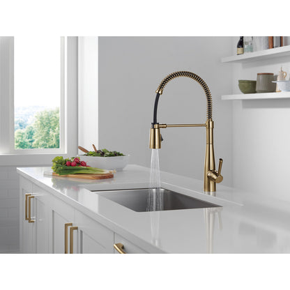 Delta Essa Single-Handle Pull-Down Spring Kitchen Faucet - 9613