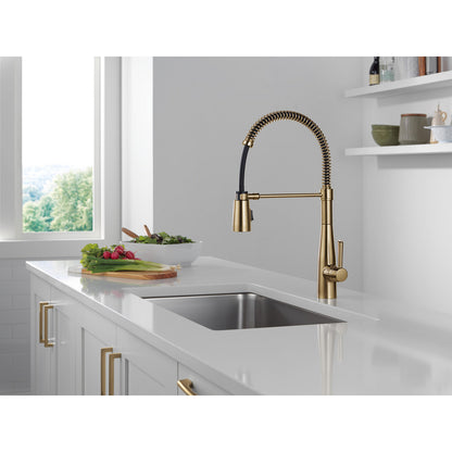Delta Essa Single-Handle Pull-Down Spring Kitchen Faucet - 9613