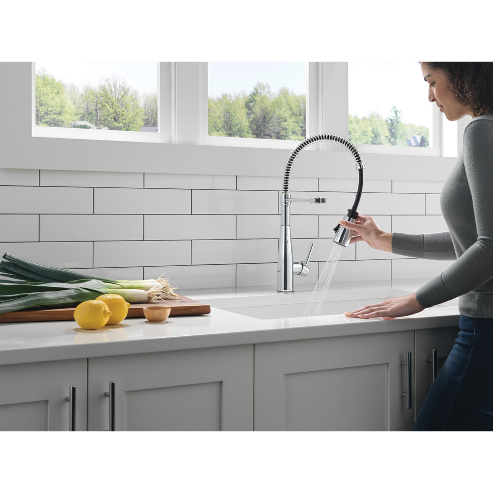 Delta Essa Single-Handle Pull-Down Spring Kitchen Faucet - 9613