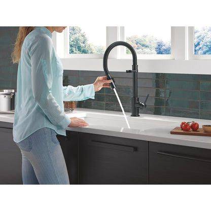 Delta Trinsic Single-Handle Pull-Down Spring Kitchen Faucet - 9659