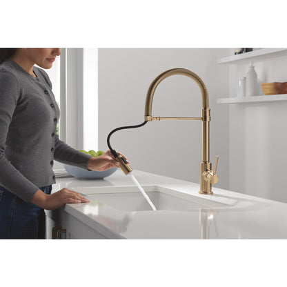 Delta Trinsic Single-Handle Pull-Down Spring Kitchen Faucet - 9659