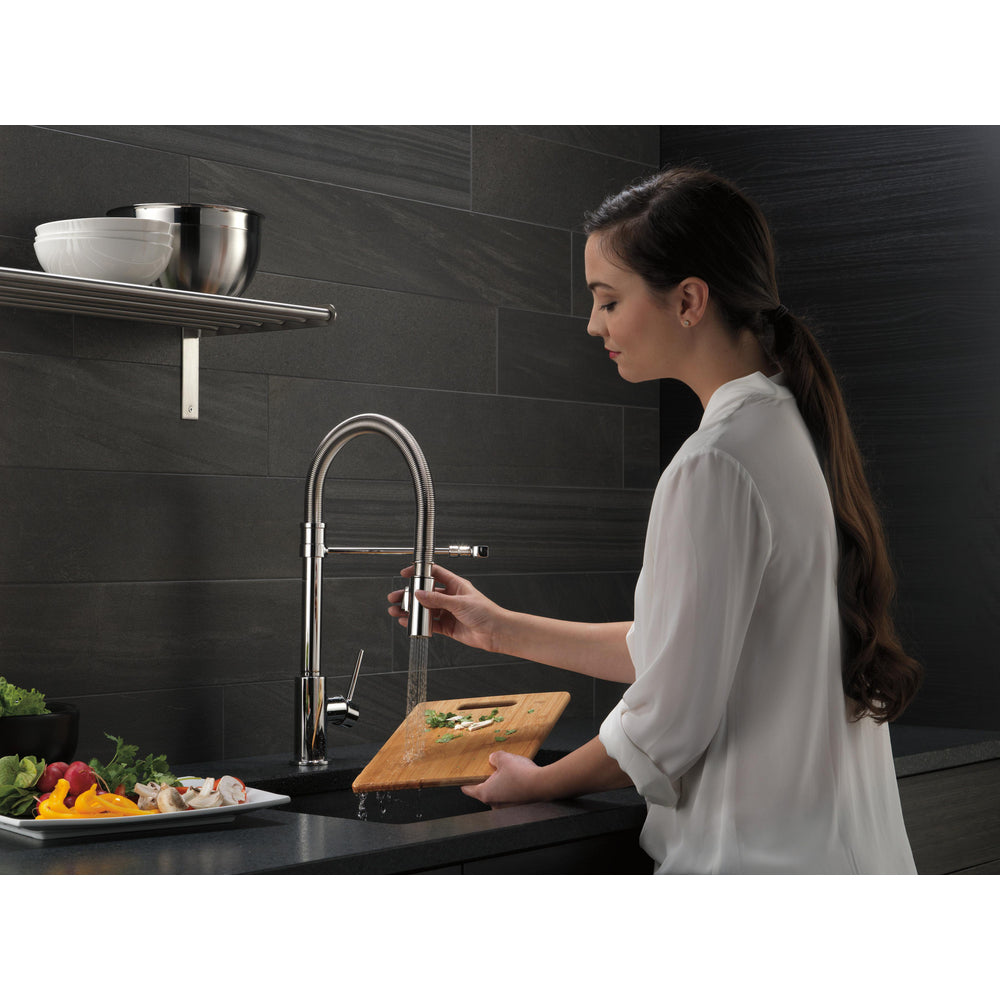 Delta Trinsic Single-Handle Pull-Down Spring Kitchen Faucet - 9659