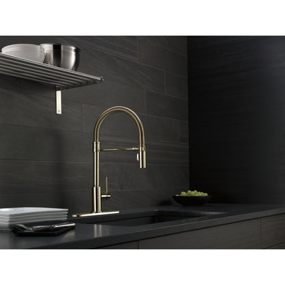Delta Trinsic Single-Handle Pull-Down Spring Kitchen Faucet - 9659