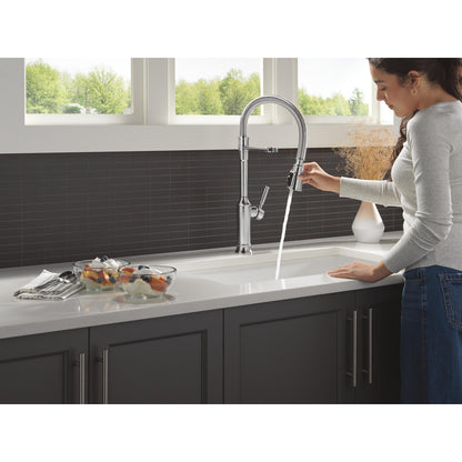 Delta Renaldi Single-Handle Pull-Down Spring Kitchen Faucet - 9684