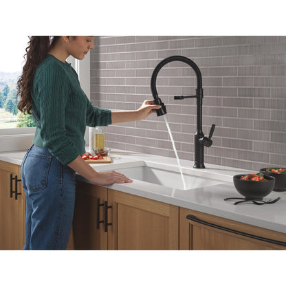 Delta Renaldi Single-Handle Pull-Down Spring Kitchen Faucet - 9684