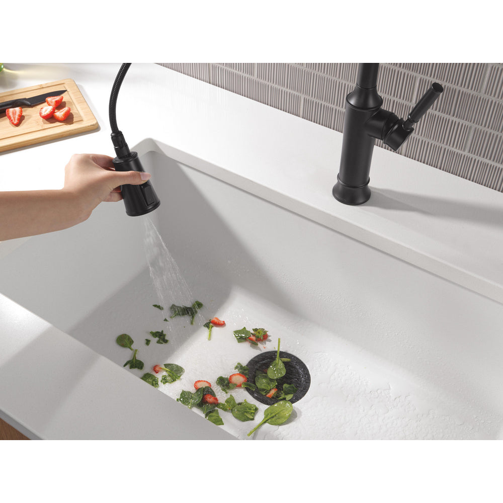 Delta Renaldi Single-Handle Pull-Down Spring Kitchen Faucet - 9684