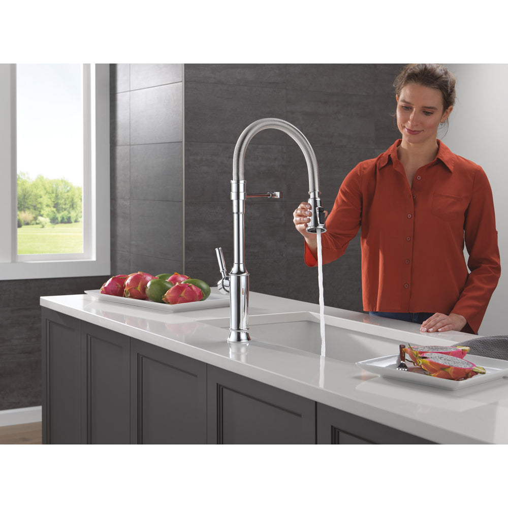 Delta Renaldi Single-Handle Pull-Down Spring Kitchen Faucet - 9684
