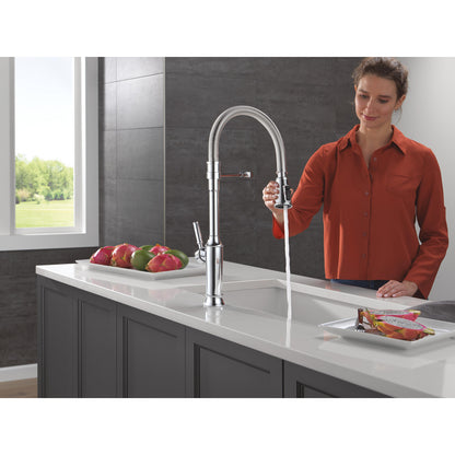 Delta Renaldi Single-Handle Pull-Down Spring Kitchen Faucet - 9684