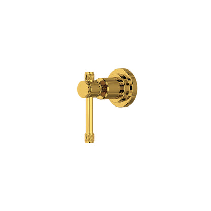 Unlacquered Brass