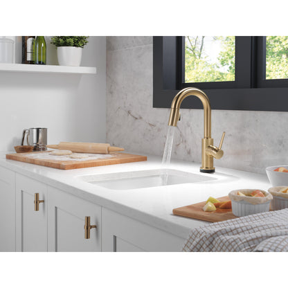 Delta Trinsic Single Handle Pull-Down Bar / Prep Faucet with Touch2O Technology - 9959T