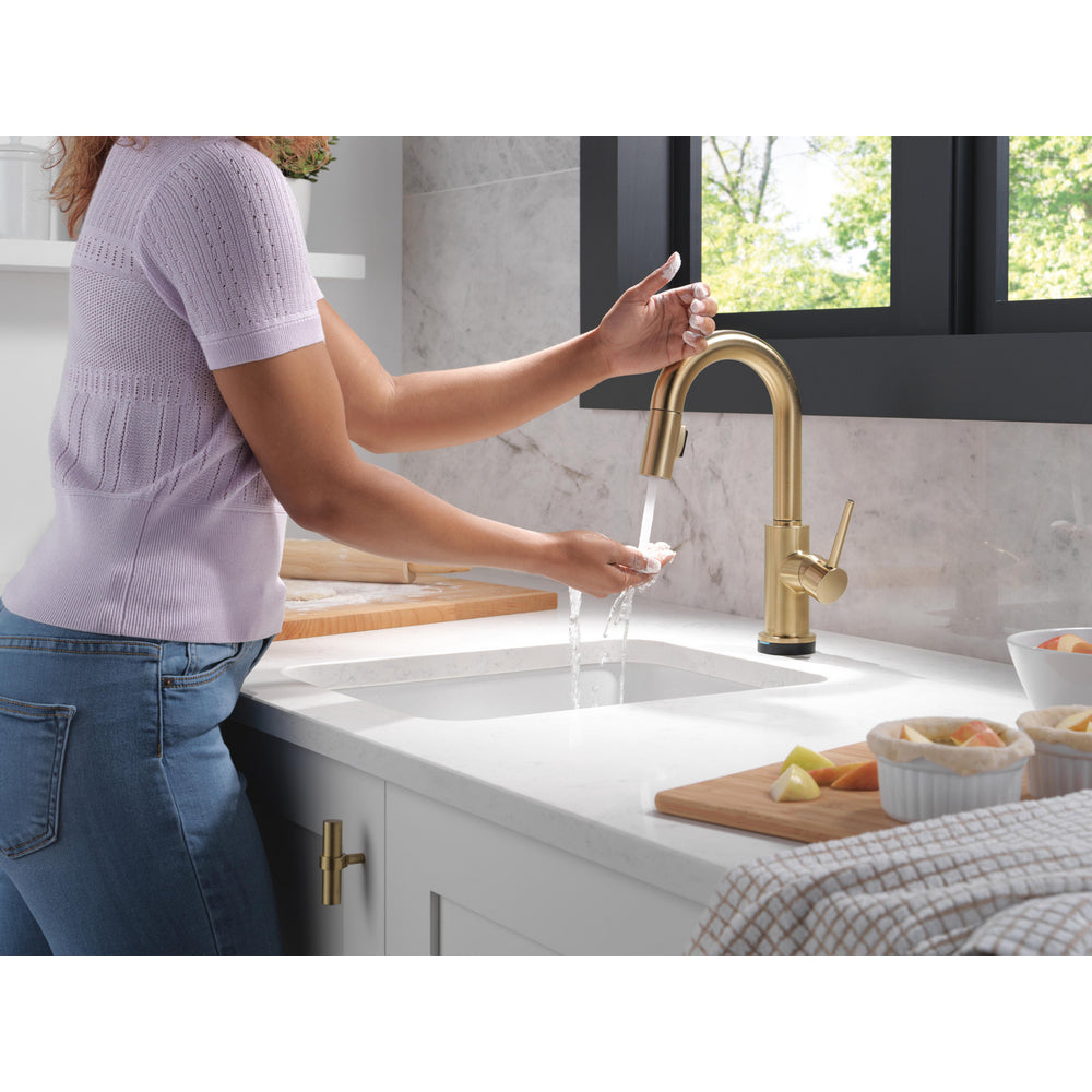 Delta Trinsic Touch2O Bar / Prep Faucet with Touchless Technology - 9959TL