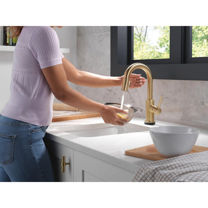 Delta Trinsic Touch2O Bar / Prep Faucet with Touchless Technology - 9959TL