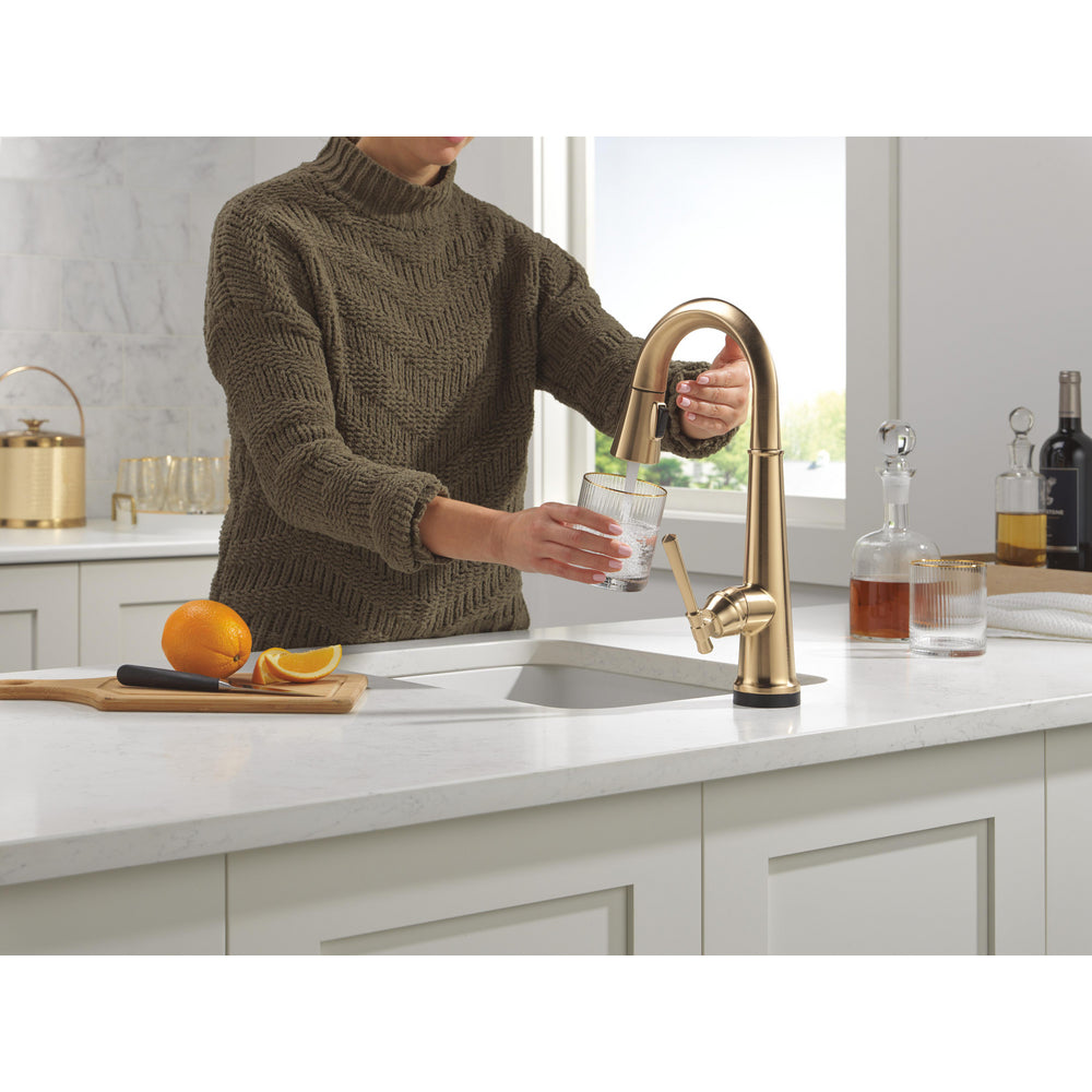 Delta Emmeline Touchless Pulldown Bar Faucet -9982TL