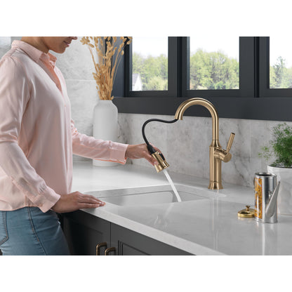 Delta Renaldi Single Handle Pull-Down Bar / Prep Faucet - 9984