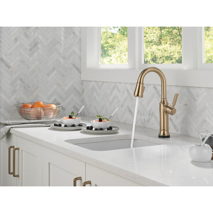 Delta Renaldi Touch2O Bar / Prep Faucet with Touchless Technology - 9984TL