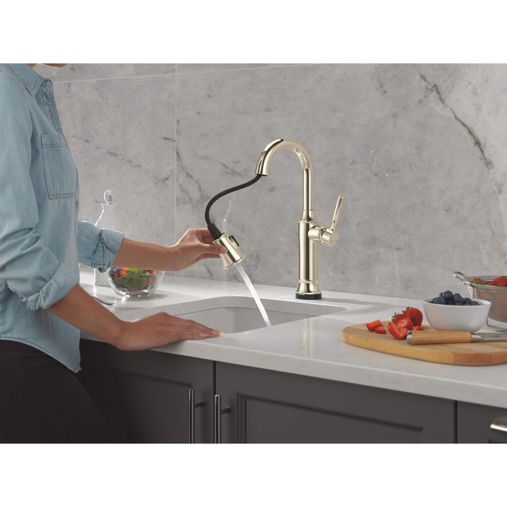 Delta Renaldi Touch2O Bar / Prep Faucet with Touchless Technology - 9984TL