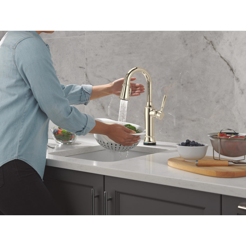 Delta Renaldi Touch2O Bar / Prep Faucet with Touchless Technology - 9984TL