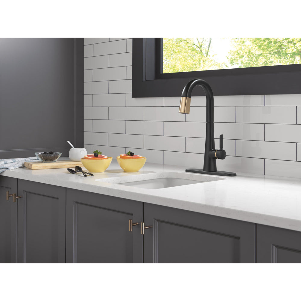 9991 Monrovia Dual Finish escutcheon
