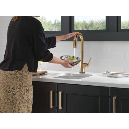 Delta Monrovia Single Handle Pull-Down Bar/Prep Faucet with Touch2O Technology - 9991T
