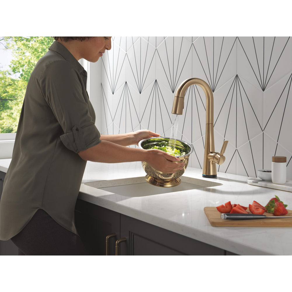 Delta Monrovia Touchless Pulldown Bar Faucet - 9991TL
