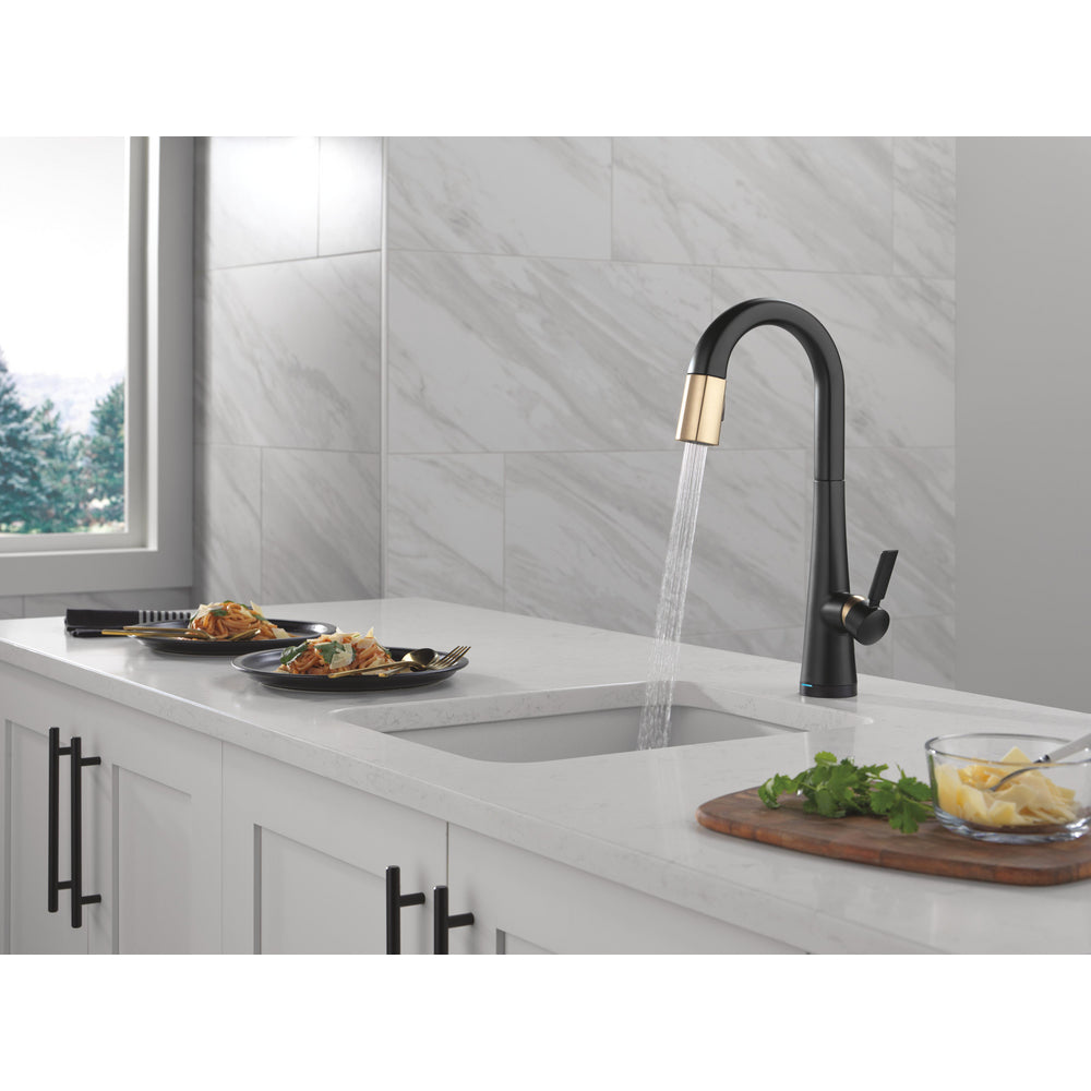 9991TL Monrovia Dual Finish