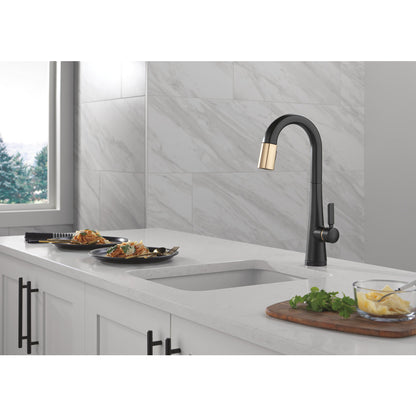 9991TL Monrovia Dual Finish