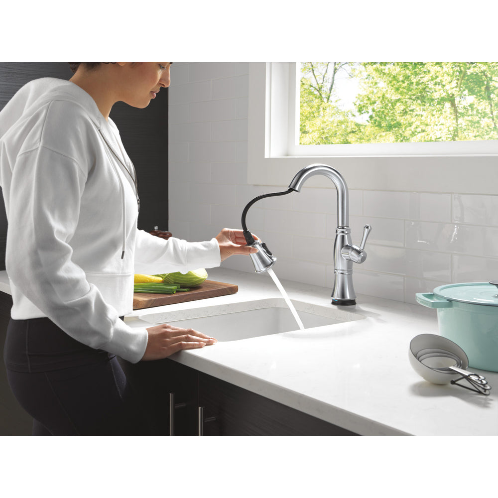 Delta Cassidy Touchless Pulldown Bar Faucet - 9997TL