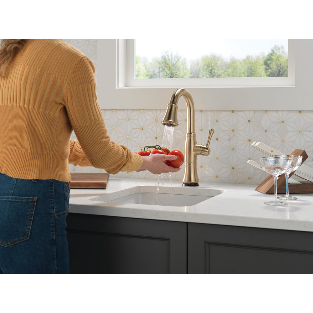 Delta Cassidy Touchless Pulldown Bar Faucet - 9997TL