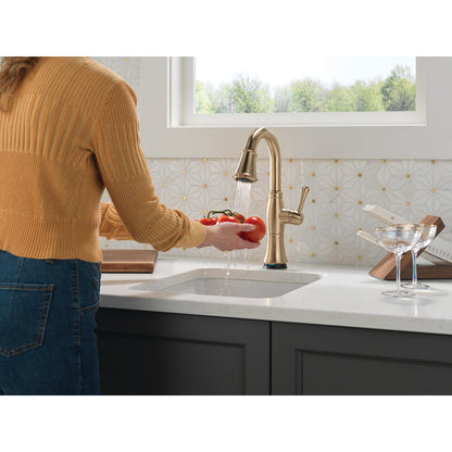 Delta Cassidy Touchless Pulldown Bar Faucet - 9997TL