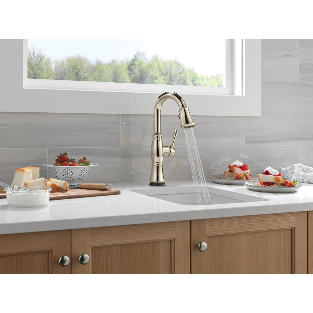 Delta Cassidy Touchless Pulldown Bar Faucet - 9997TL