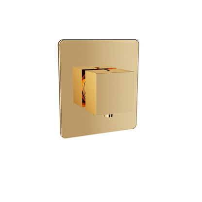 Baril Rec B05 Trim Only For 3/4" Thermostatic Valve - T05-9404-00