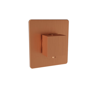 Baril Rec B05 Trim Only For 3/4" Thermostatic Valve - T05-9404-00