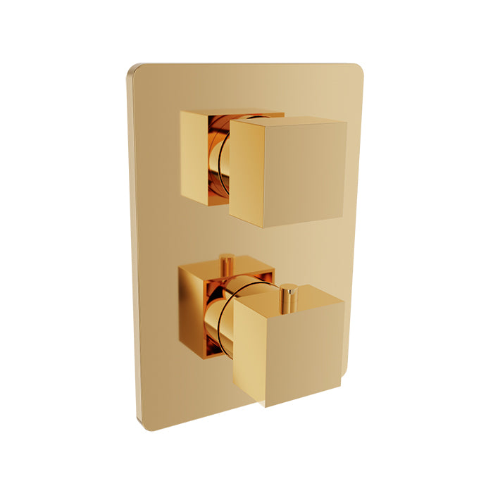 Baril Rec B05 Trim Only For Thermostatic Pressure Balanced Shower Control Valve With 1-Way Diverter - T05-9511-00