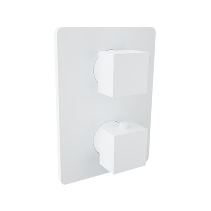 Baril Rec B05 Complete Thermostatic Pressure Balanced Shower Control Valve With 3-Way Diverter - B05-9531-00