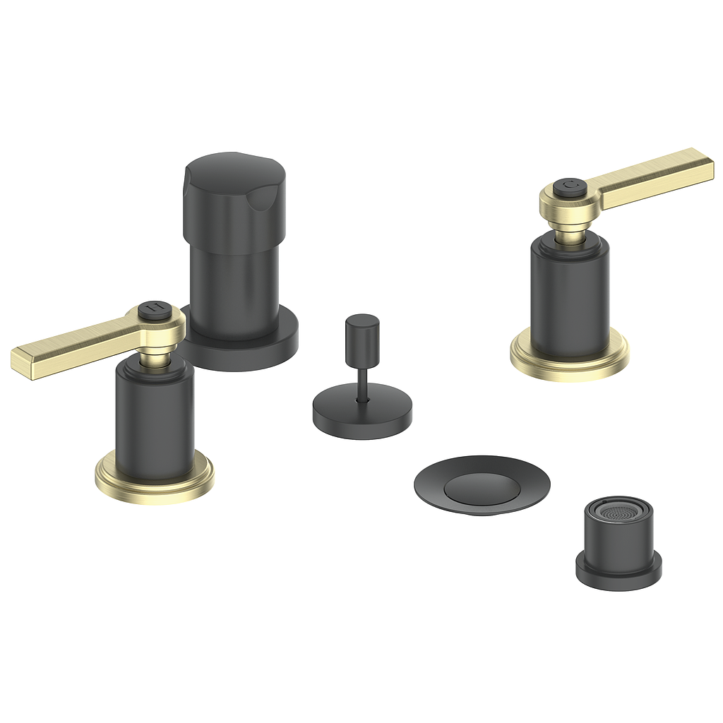 Vogt Zehn Bidet Faucet in Brushed Gold & Matte Black – BF.Z1.3000.BGB
