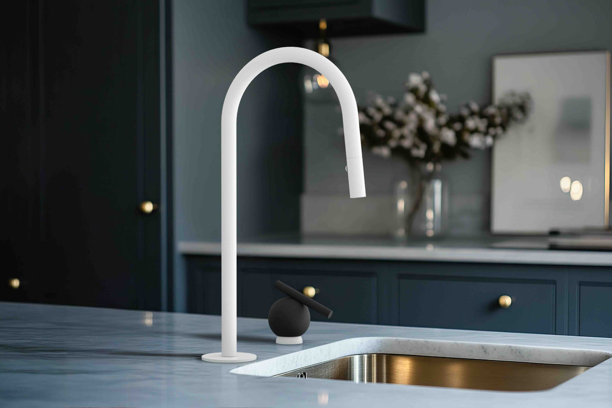 Baril Marie C35 kitchen faucet and M35 handle shown together; each sold separately