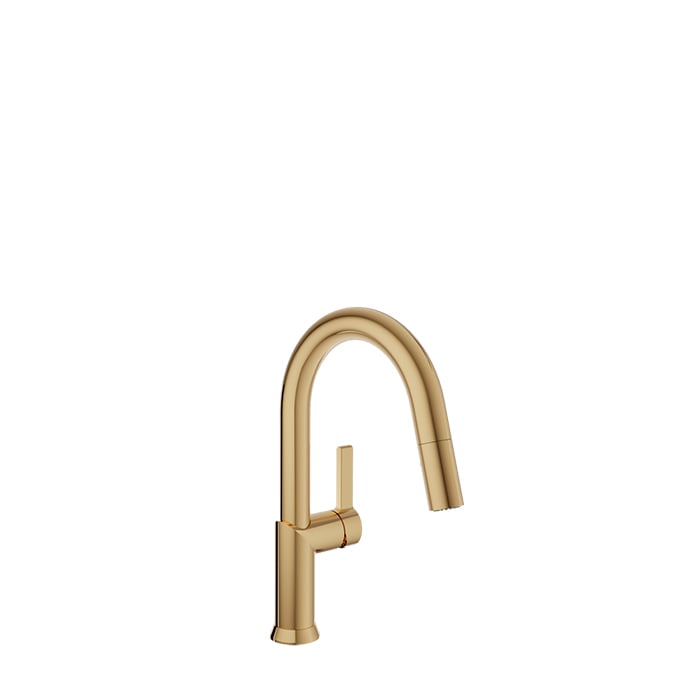Baril Vision Kitchen Faucet - Gold