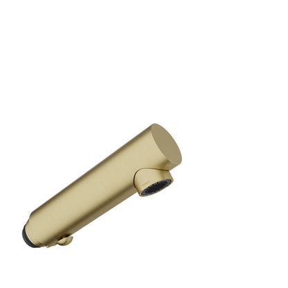 DOU-6037-02 Satin Brass