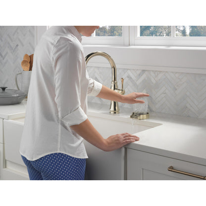 Delta Cassidy Single Handle Pull-Down Kitchen Faucet with ShieldSpray Technology - 9197
