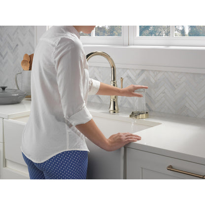 Delta Cassidy Single Handle Pull-Down Kitchen Faucet with ShieldSpray Technology - 9197