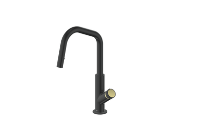 Matte Black / Brushed Gold