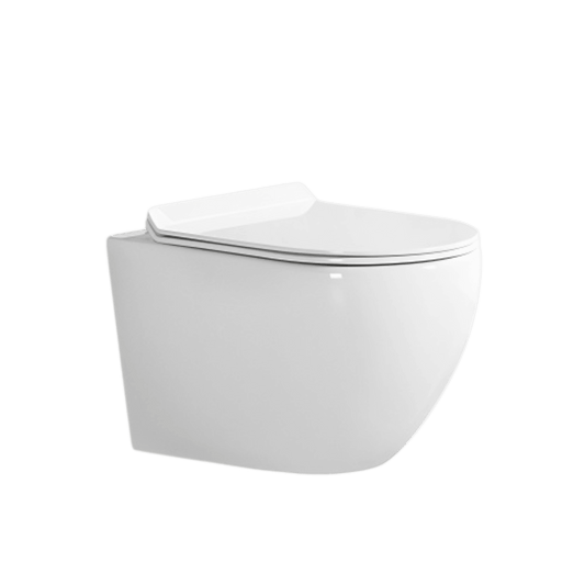 ALPS Wall-Mounted Toilet - Eunoia 