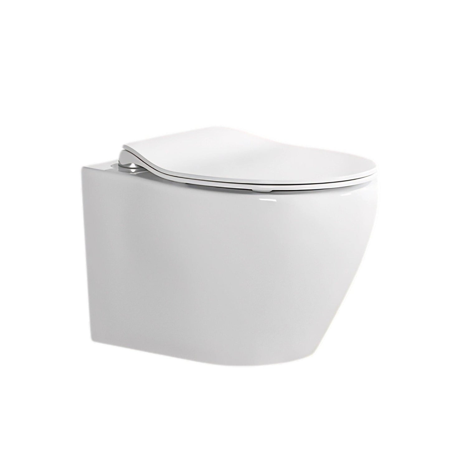 ALPS Wall-Mounted Toilet - Eunoia 