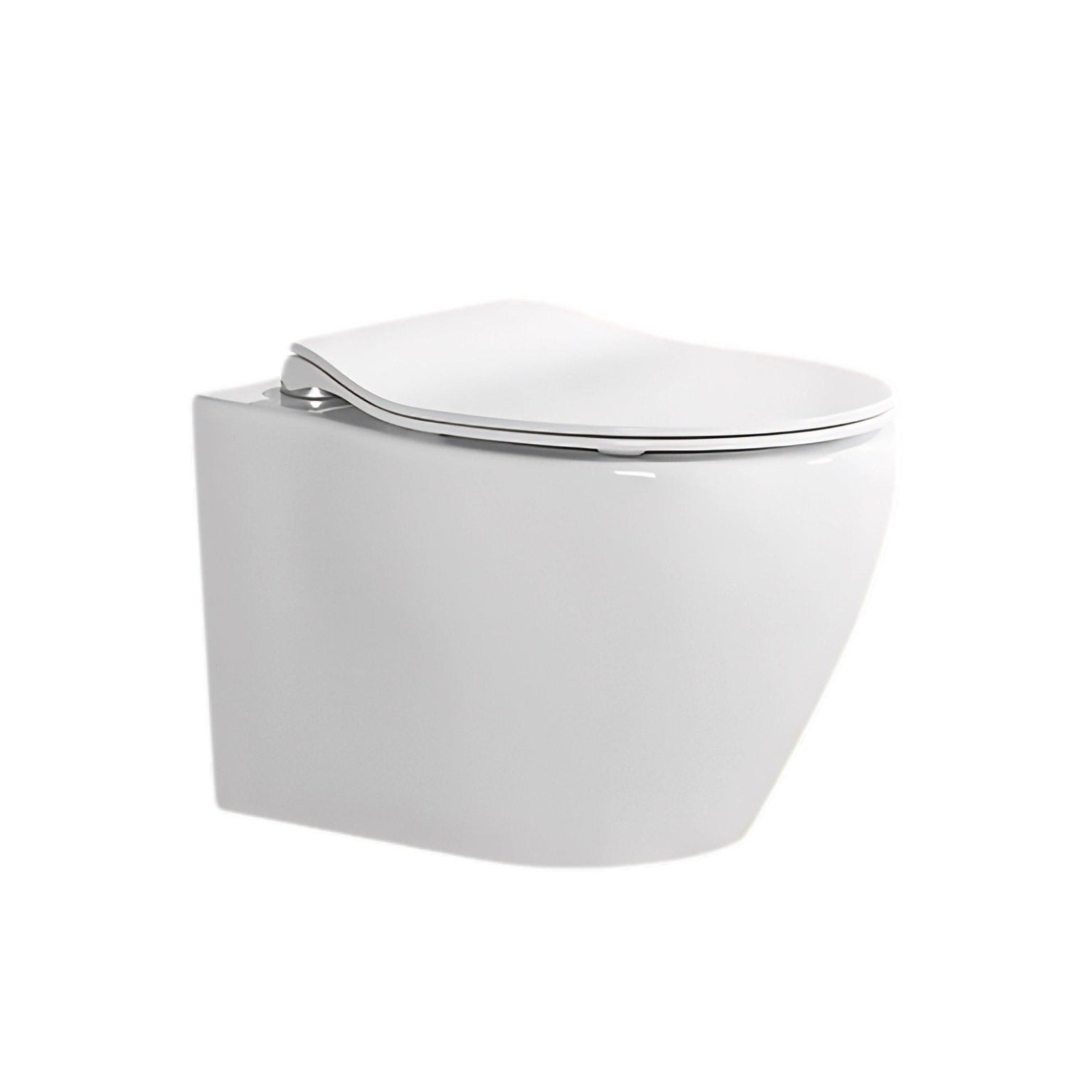 ALPS Wall-Mounted Toilet - Eunoia 