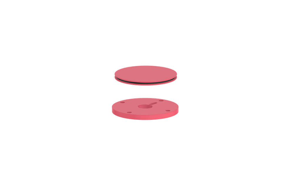 Fresh Raspberry