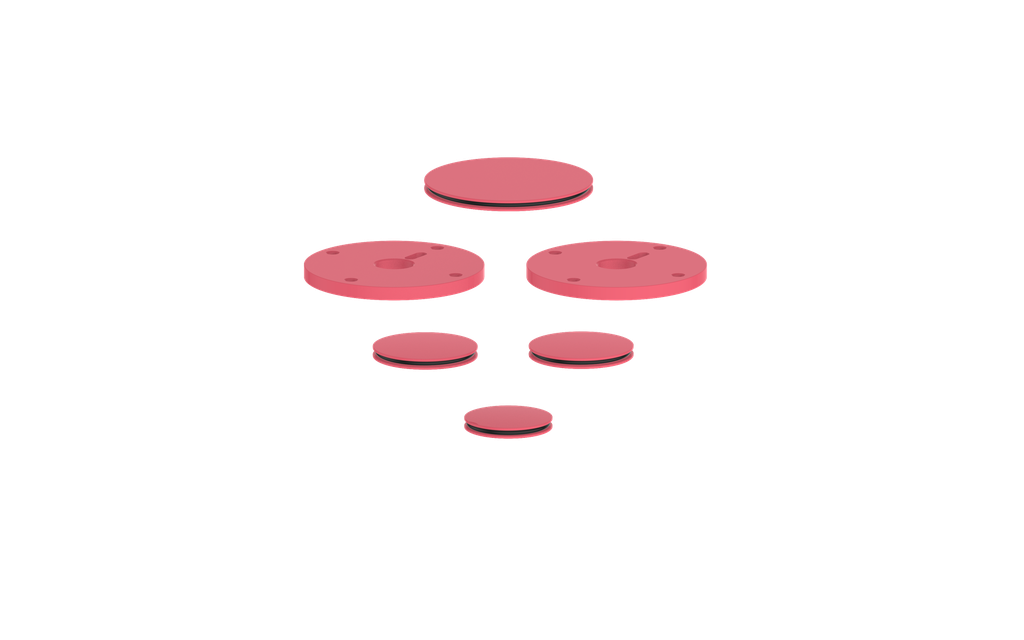 Fresh Raspberry