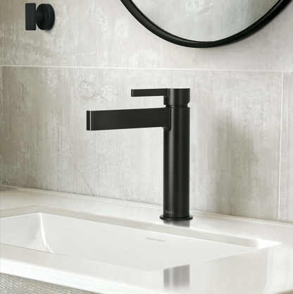 Riobel Paradox Single Handle Lavatory Faucet - PXS01