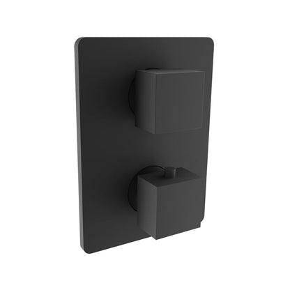 Baril Rec B05 Trim Only For Thermostatic Pressure-Balanced Shower Control Valve With 1-Way Diverter - Matte Black